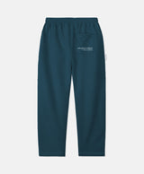 VIDEOGAME 7.0 PANTS DARK BLUE