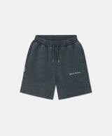 VIDEOGAME 8.0 SHORTS VINTAGE GREY