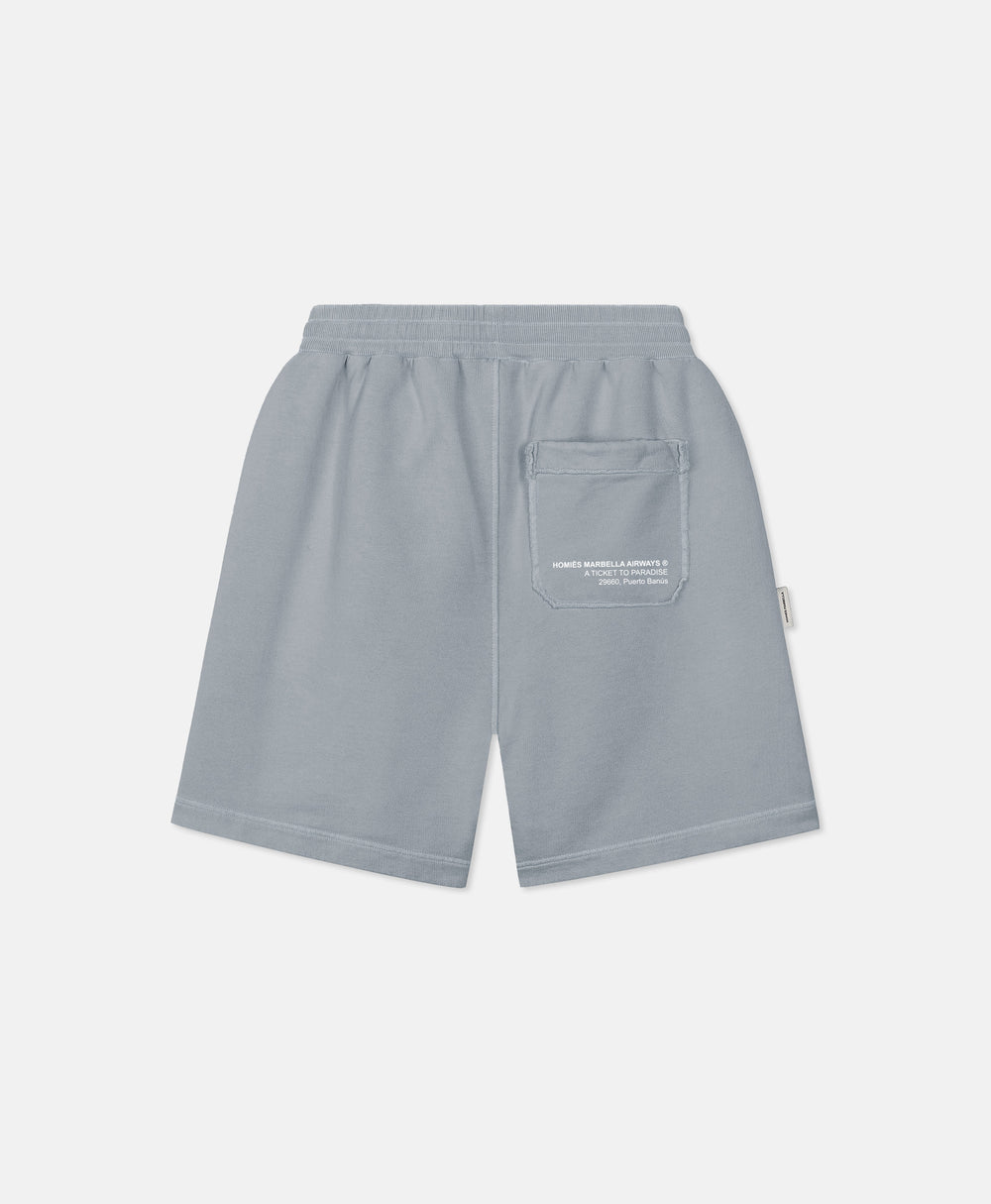 VIDEOGAME 6.0 SHORTS VINTAGE LIGHT GREY